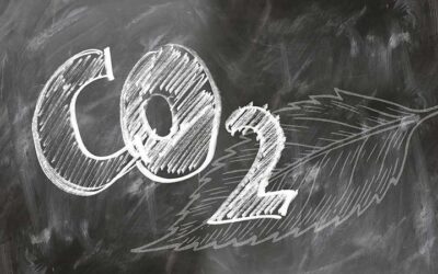 Carbon Capture, Use and Storage (CCUS) and CCS